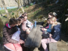 IMG_20250320_100528